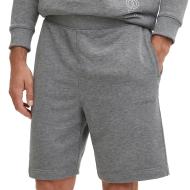 Short Gris Homme Calvin Klein Jeans Knit pas cher