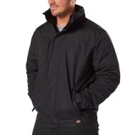 Veste Noire Homme Dickies Everyday pas cher