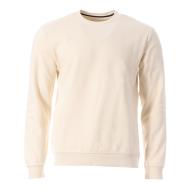 Sweat Ecru Homme Teddy Smith S-nark Rc pas cher