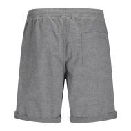 Short Gris Homme Jack & Jones Jaidens vue 2