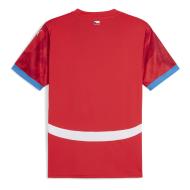 République Tchèque Maillot Réplica Domicile Puma 2023/2024 vue 2