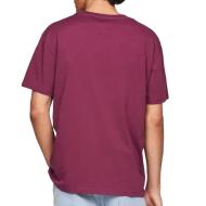 T-shirt Bordeaux Homme Tommy Hilfiger Dna vue 2
