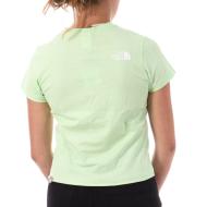 T-shirt Vert Femme The North Face W Coordinates vue 2