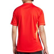 Juventus Red Men's Adidas Goal Jersey 24/25 Photo of the Espace des Marques %store% store - view of %key%