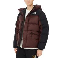 Doudoune Marron/Noire Homme The North Face Hmlyn