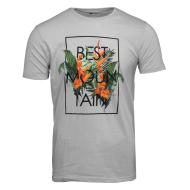 T-shirt Gris Homme Best Mountain 1015