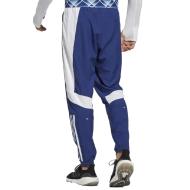 Jogging Bleu Homme Adidas TRG France vue 2