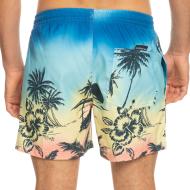 Maillot de bain Bleu Homme Quiksilver Paradise 15 Jamv vue 2