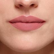 Rouge à Lèvres Color Riche MAT de L'Oréal Paris 103 Audace vue 2