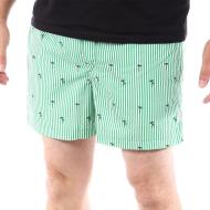 Short de Bain Vert Homme Jack & Jones Pacific Coast Flamingo