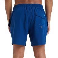 Short de bain Bleu Roi Homme Quiksilver Surfsilk vue 2