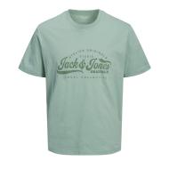 T-Shirt Vert Homme Jack & Jones Jordean