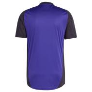 Allemagne Maillot Training Homme Adidas 2024 vue 2