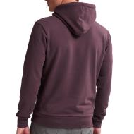 Sweat à Capuche Prune Homme Petrol Industries Sweater Hooded vue 2