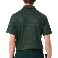 Lacoste Men's Green Polo DH5175 Photo of the Espace des Marques %store% store - view of %key%