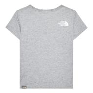 Camiseta gris para niño The North Face Graphic ver 2