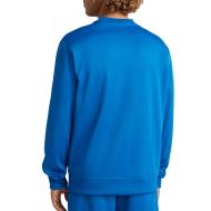 Sweat Bleu Roi Homme O'Neill Rutile Crew vue 2