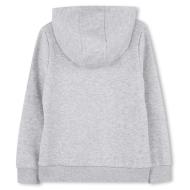 Hugo Boss Boys’ Grey Hooded Top J52748 Photo of the Espace des Marques %store% store - view of %key%