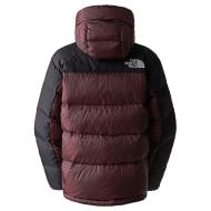 Doudoune Marron/Noire Homme The North Face Hmlyn vue 4