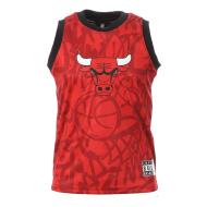 Maillot CHICAGO BULLS Rouge Garçon NBA Shake The Can Shooter