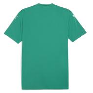 Puma Teamglory Men's Green Jersey Photo of the Espace des Marques %store% store - view of %key%