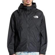 Schwarze Jacke Männlich The North Face Wind günstig