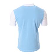 Aviron bayonnais Polo Blanc/Bleu Homme Le Coq Sportif Fanwear vue 2