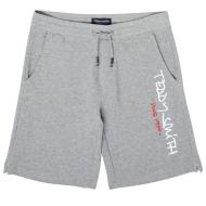 Short Gris Garçon Teddy Smith Mickael