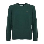 Pull Vert Homme Lacoste Jardin pas cher