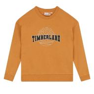 Yellow Timberland Boys’ Sweatshirt T60315/589