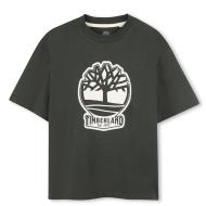 Grünes T-Shirt für Jungen von Timberland T60422 Green