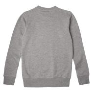 Sweat à Capuche Gris Garçon O'Neill All Year Crew vue 2