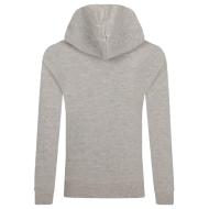 Sweat Gris Garçon Pepe Jeans Nate vue 2