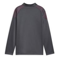 Manchester City Haut d entrainement Garçon Gris Puma Mcfc Training 23/24 vue 2