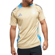 Argentine Maillot Training Doré Homme Adidas 2024 pas cher