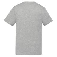 T-shirt Gris Homme Schott TSUSTOUR vue 2