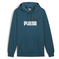 Sweat à Capuche Bleu Homme Puma 586764 pas cher