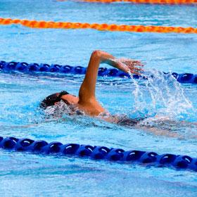 Natation