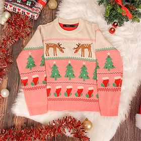 Pulls de Noël